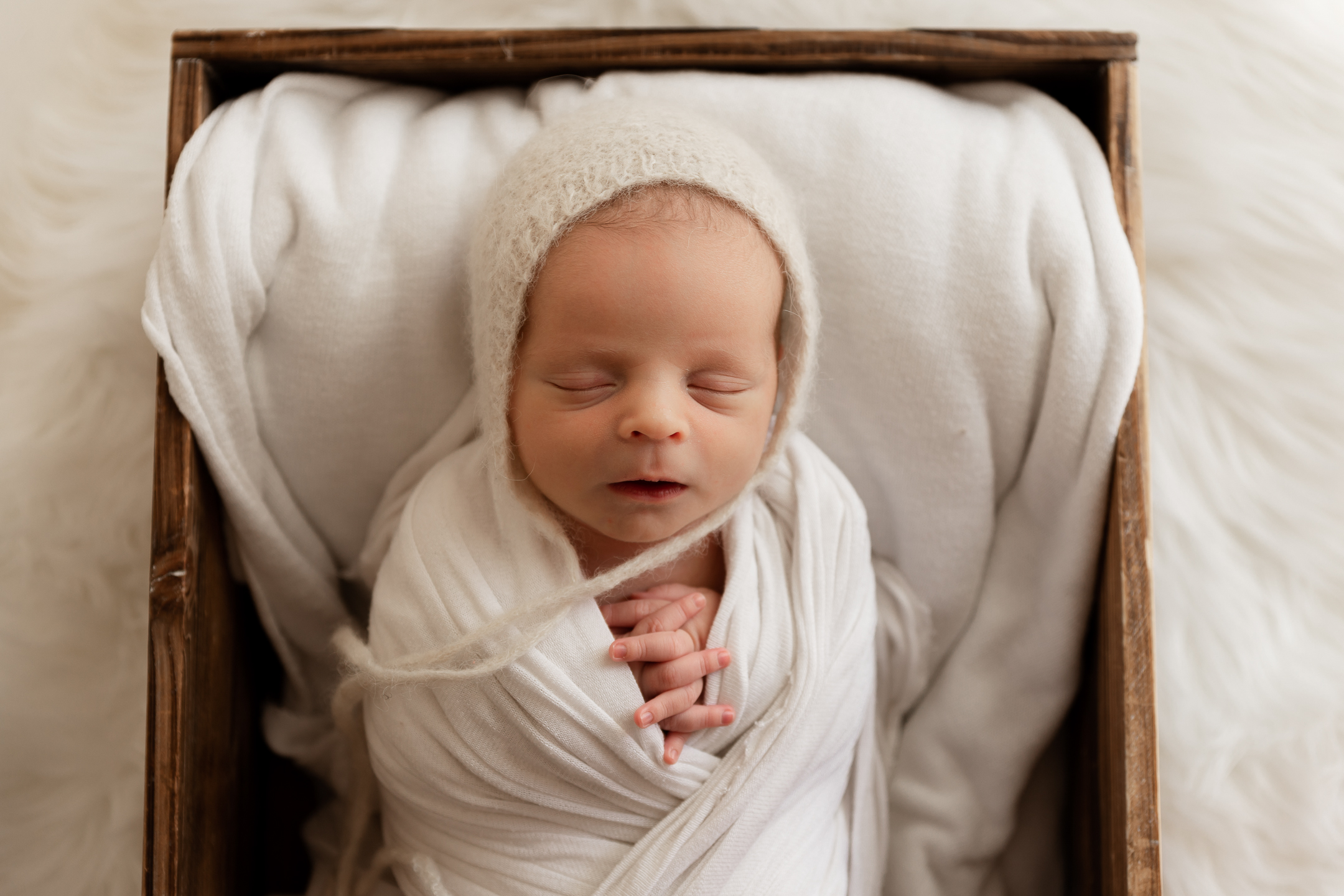 Newborn baby for posed newborn session