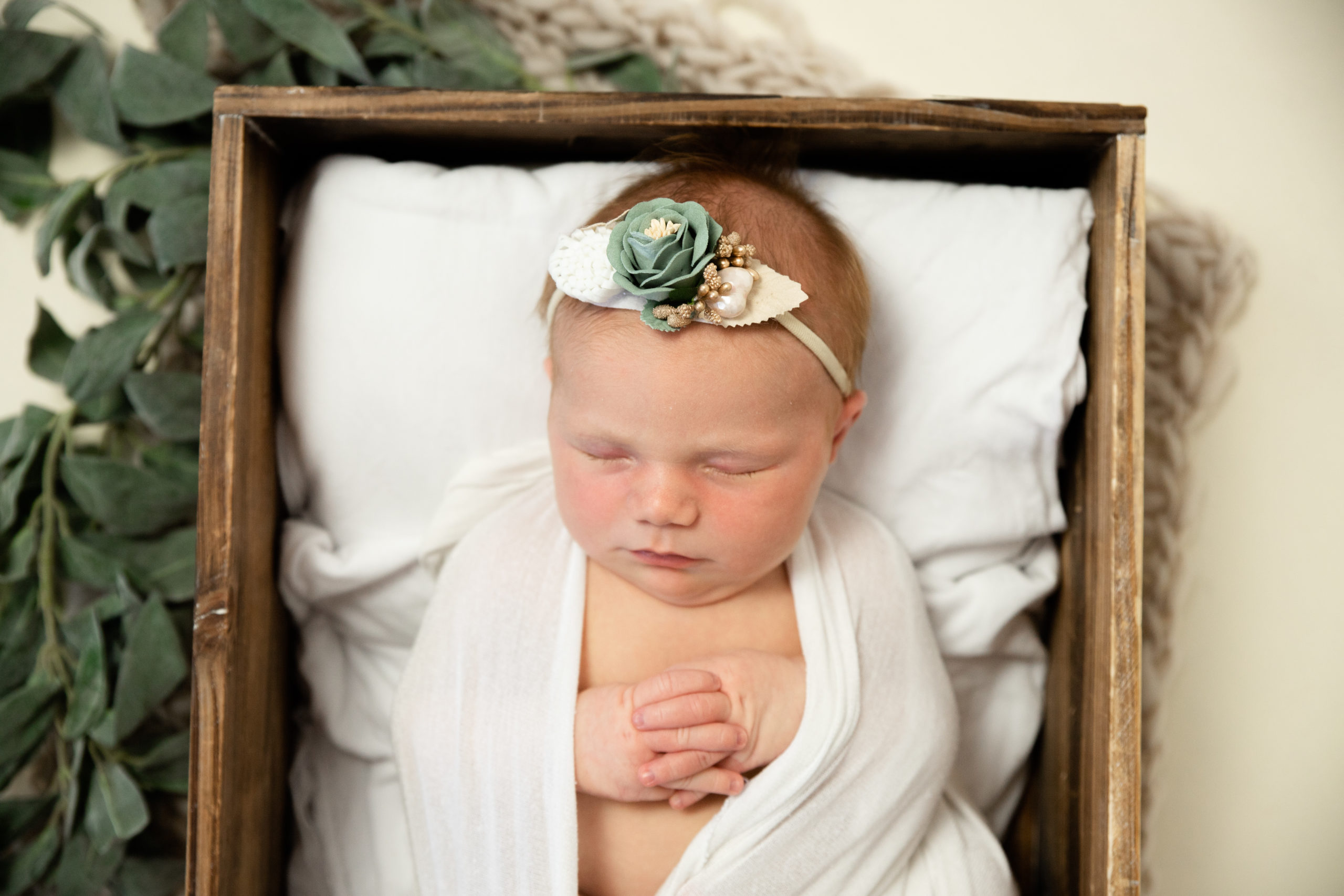 Newborn portrait-baby in a crate- Knitted in the Womb Lehigh Valley