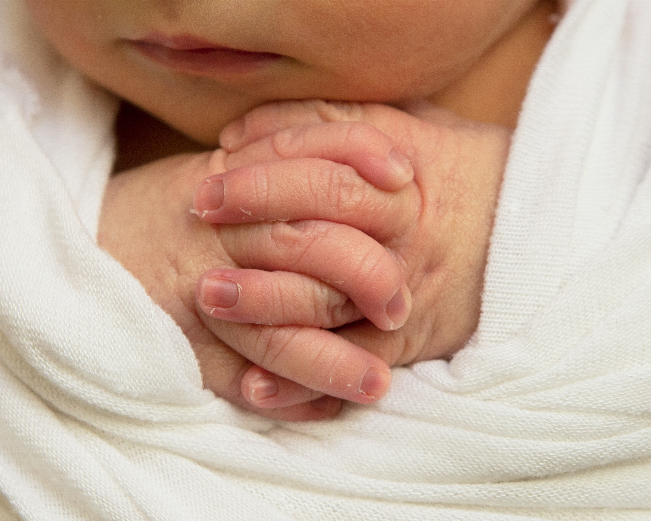 Close up photo of a newborn baby's hands in a white wrap